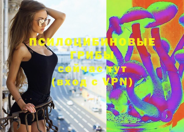 прущие грибы Корсаков