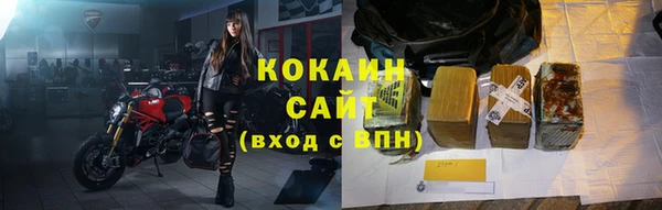 прущие грибы Корсаков