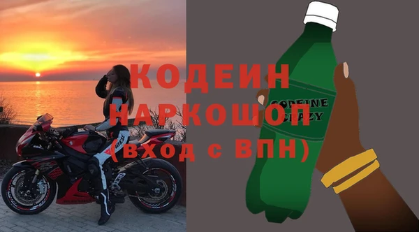 прущие грибы Корсаков