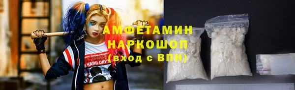 прущие грибы Корсаков