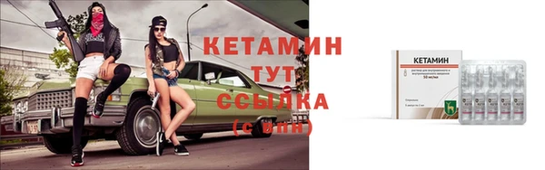 прущие грибы Корсаков