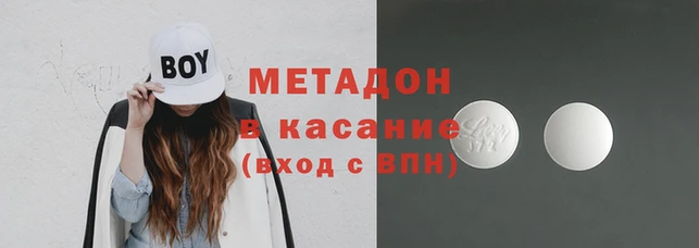 прущие грибы Корсаков