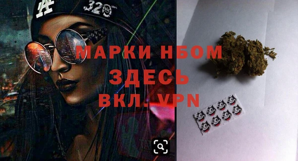 прущие грибы Корсаков