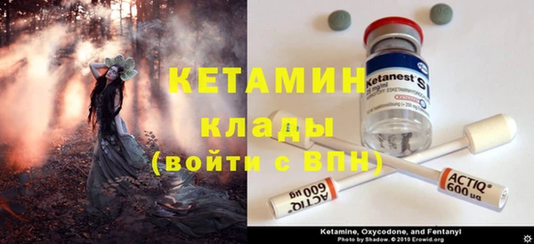 прущие грибы Корсаков