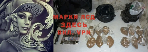 прущие грибы Корсаков