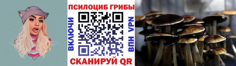 Псилоцибиновые грибы MAGIC MUSHROOMS  купить закладку  Назрань 